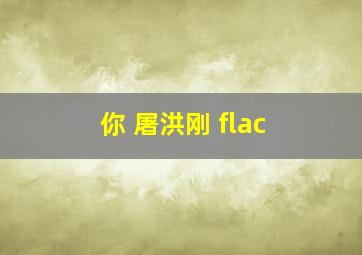 你 屠洪刚 flac